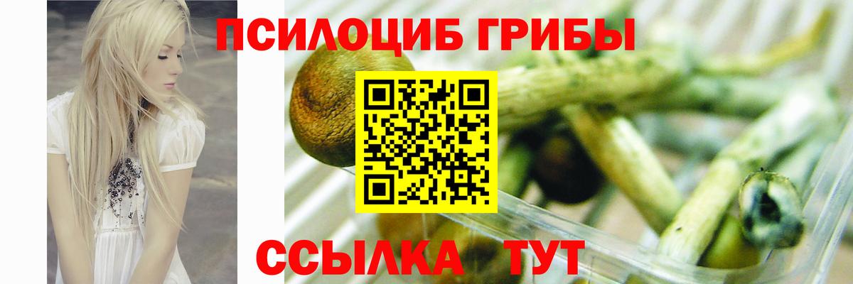 Псилоцибиновые грибы прущие грибы Еманжелинск